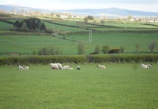 Valley View Country House Bed And Breakfast Bushmills Exterior photo